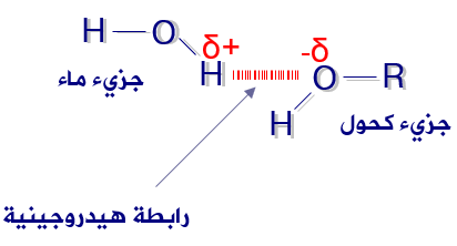 الرابطة الهيدروجينية بين جزيات الكحولات والماء